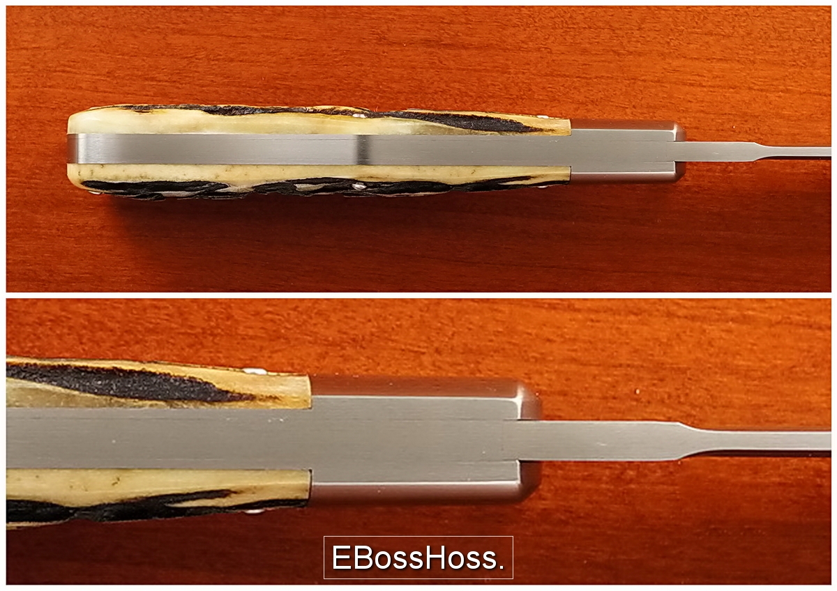 Tony Bose 4-inch Stag Beavertail
